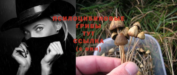 тгк Балахна