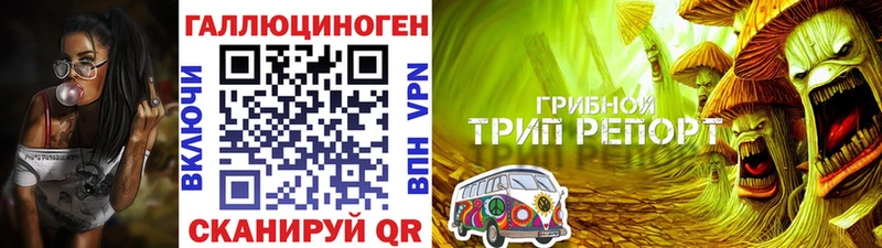 Галлюциногенные грибы GOLDEN TEACHER  купить   Верхняя Тура 